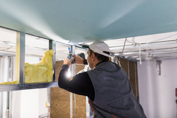 Best Residential Insulation in Milam, TX
