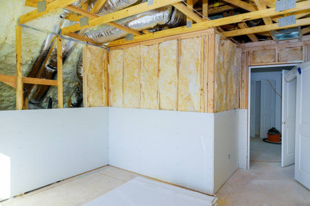 Best Eco-Friendly Insulation in Milam, TX