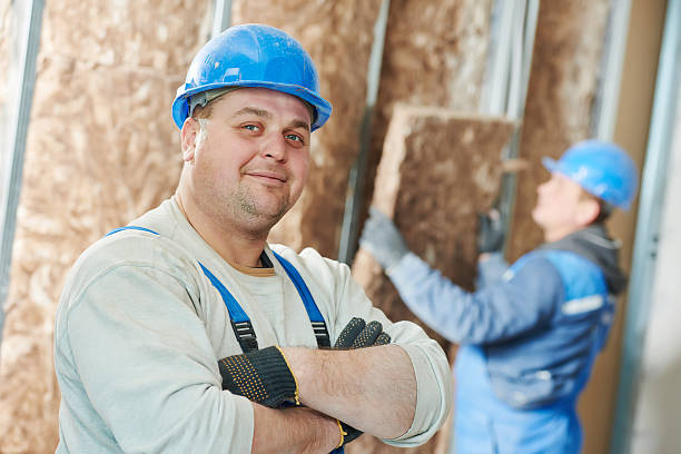 Best Insulation Maintenance and Repair in Milam, TX
