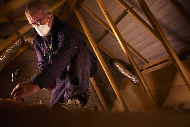 Best Geographic-Specific Insulation Services in Milam, TX